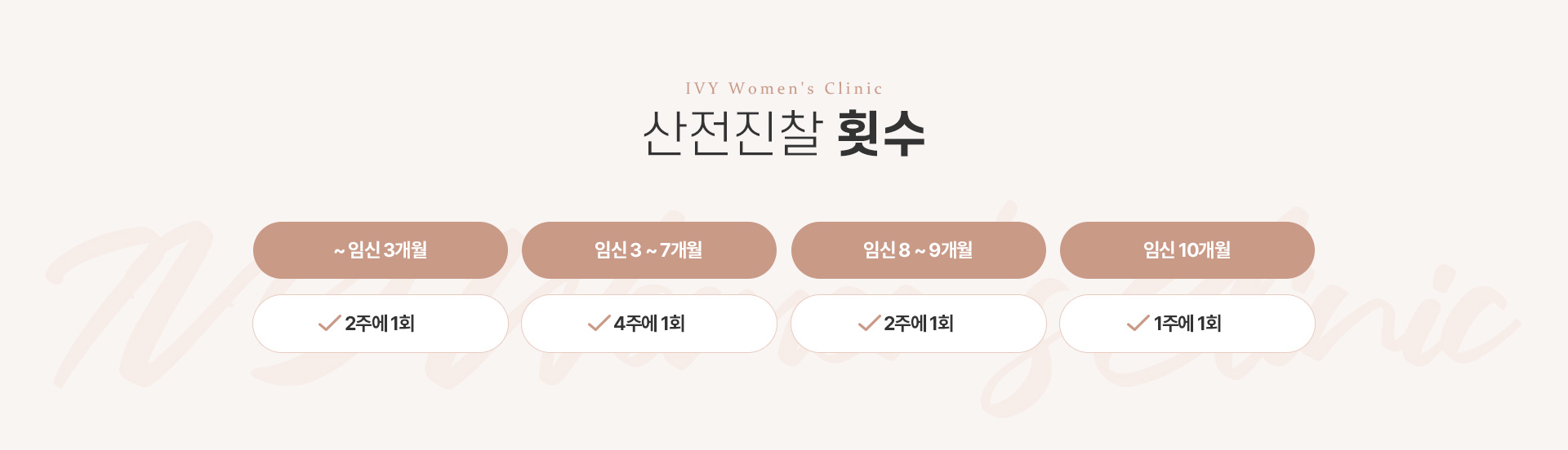 산전검사 횟수 