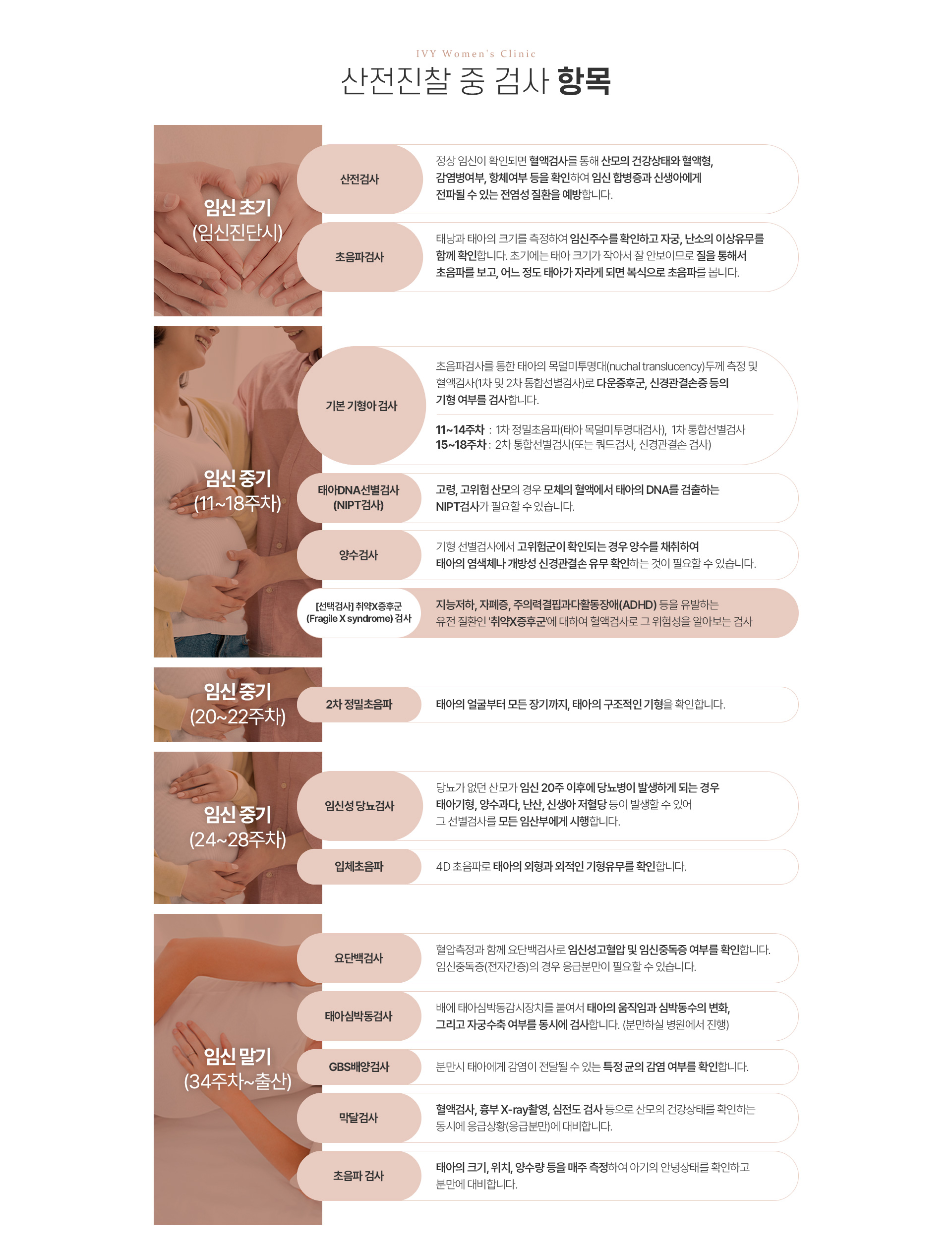 산전검사 항목 